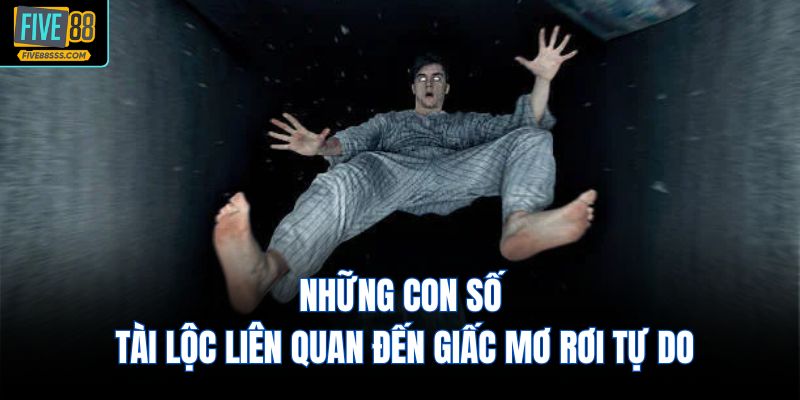 Những con số tài lộc liên quan đến giấc mơ rơi tự do